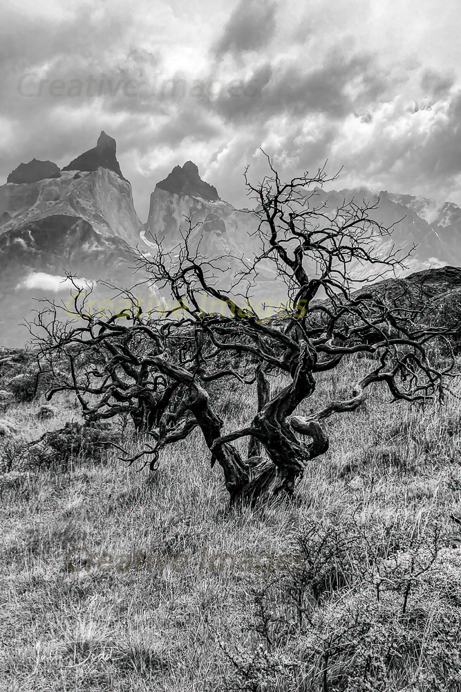 Torres Del Paine BW (Patagonia)
