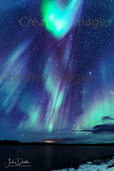 Northern Lights (Bettles, Alaska)
